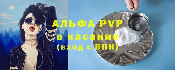 молекула духа Костерёво