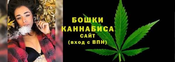 мдпв Кукмор
