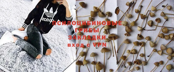 молекула духа Костерёво