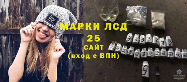 молекула духа Костерёво