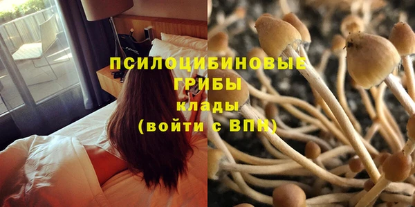 каннабис Куйбышев