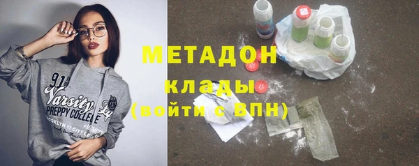 прущие грибы Краснослободск